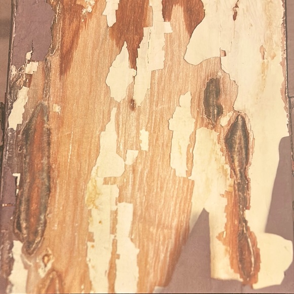 Scrapbook Paper! Wood Texture & Country Theme Backgrounds! 12x12” - Picture 5 of 17